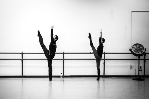 Dorothee Gilbert & Marcelo Gomes